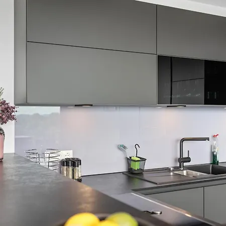 Anytime - Penthouse Mit Terrasse Und Bergsicht * فريدريشسهافن