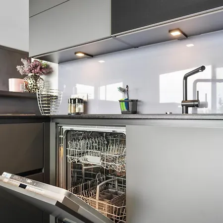 Anytime - Penthouse Mit Terrasse Und Bergsicht فريدريشسهافن